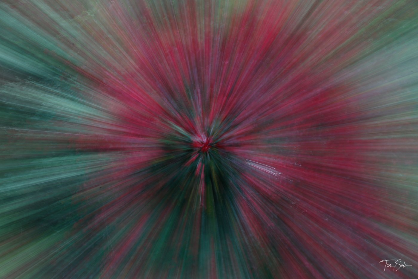 35ADEAAD C675-4B6C-A108-AB1AE024FBE3