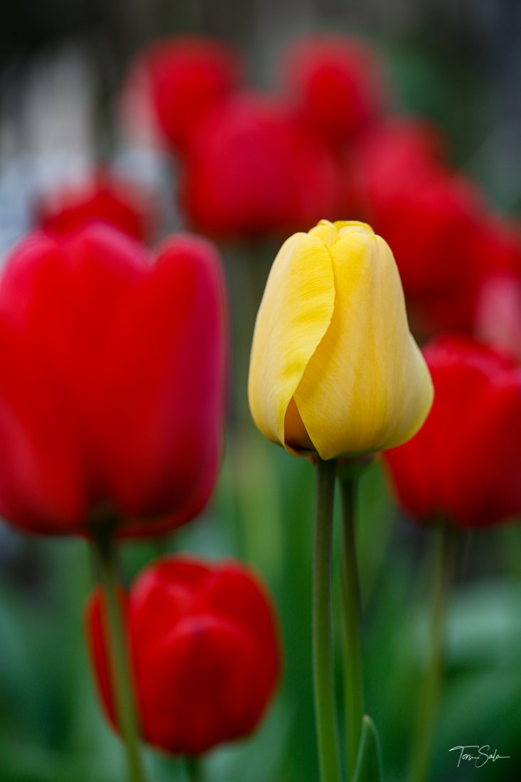 928F2AA6 00B3-4695-8258-542CA3304312