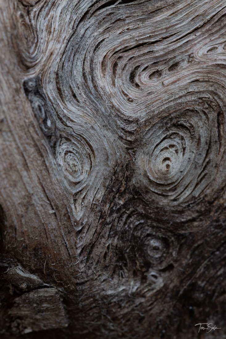 35ADEAAD C675-4B6C-A108-AB1AE024FBE3